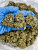 Blue Diamond - Flower > Flower - Mids | Ganja Deals