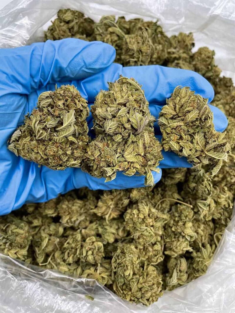 Blue Diamond - Flower > Flower - Mids | Ganja Deals