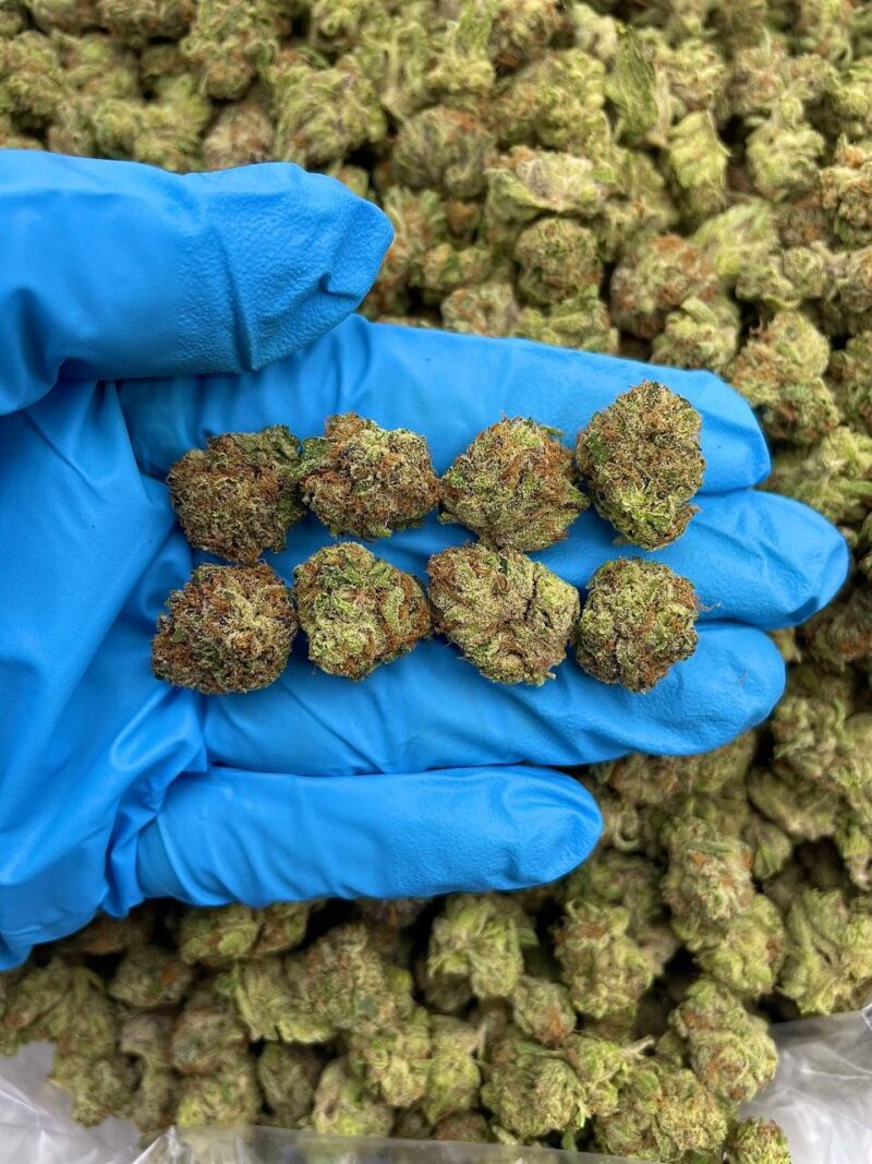 Sticky Jack - Flower > Indoor Smalls | Ganja Deals