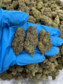 Forbidden Punch - Flower > Flower - Mids | Ganja Deals
