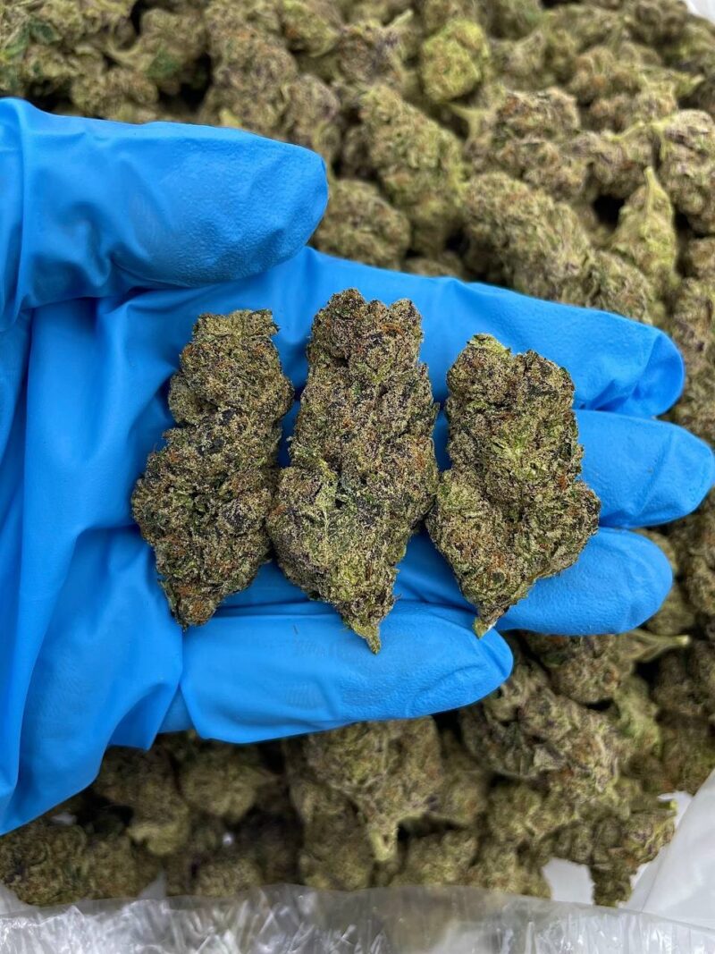 Forbidden Punch - Flower > Flower - Mids | Ganja Deals