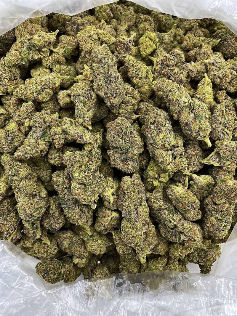 Buy Forbidden Punch Online at Ganja Deals