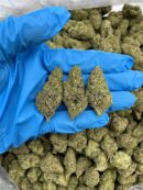 Frostbite Punch - Flower > Flower - Mids | Ganja Deals