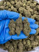 Tangerine Poprocks - Flower > Flower - Mids | Ganja Deals