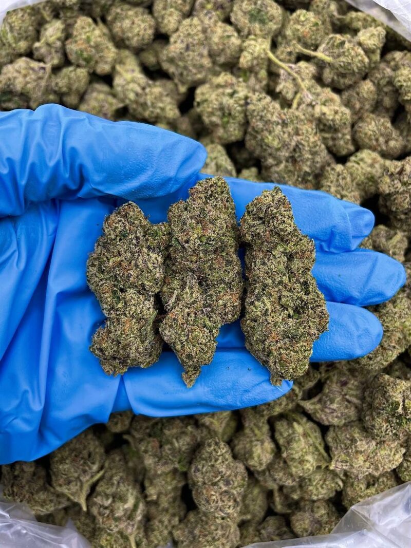 Tangerine Poprocks - Flower > Flower - Mids | Ganja Deals