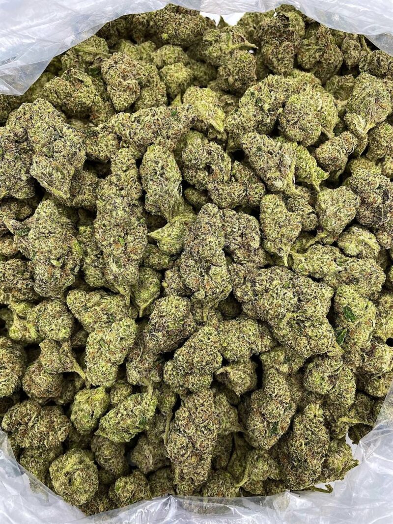 Buy Tropical Sorbet Online at Ganja Deals