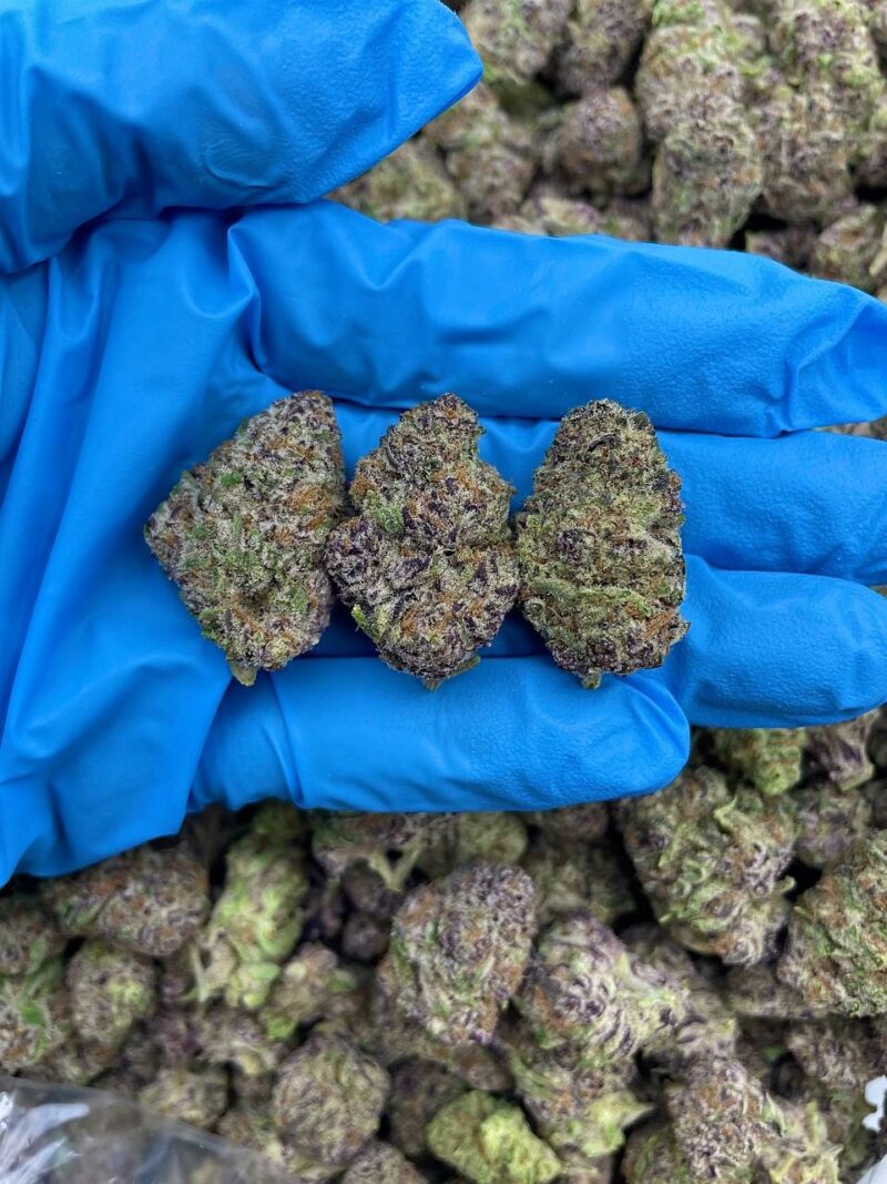 Blueberry Fanta - Flower > Flower - Mids | Ganja Deals