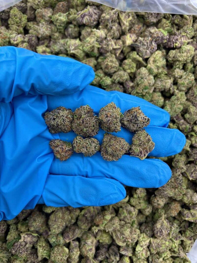 Cosmic Truffle - Flower > Flower - Mids | Ganja Deals