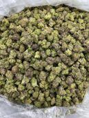 Buy Cosmic Truffle Online at Ganja Deals