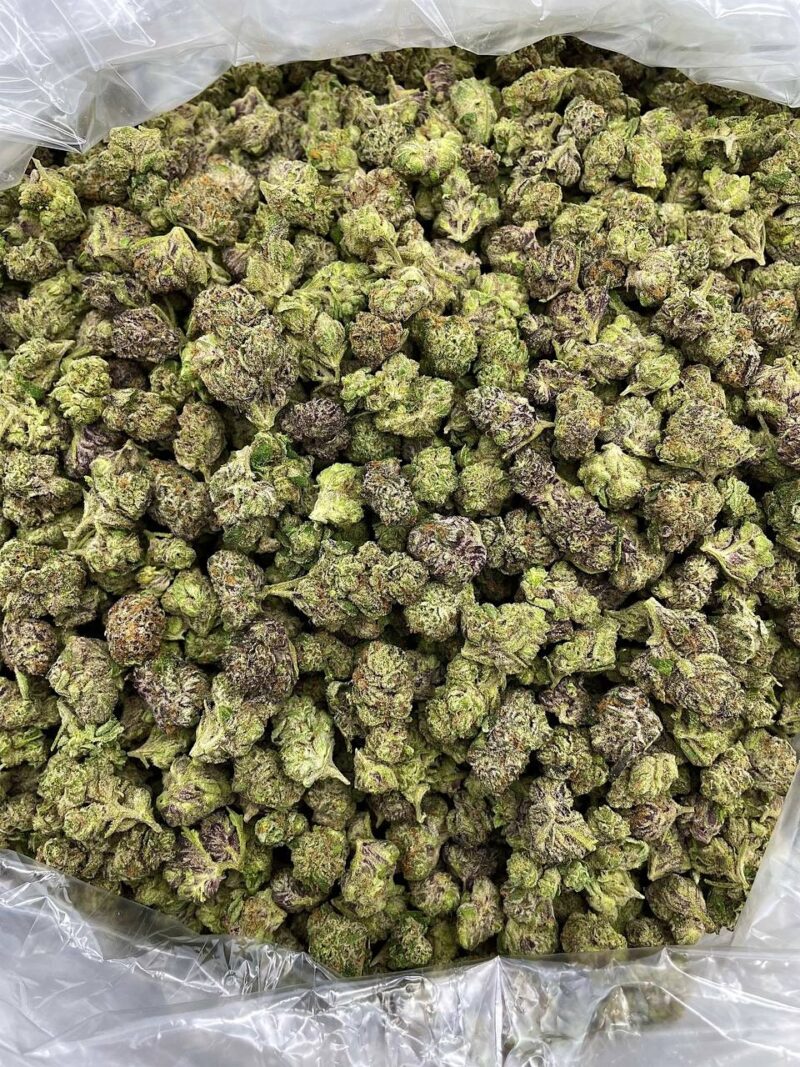Buy Cosmic Truffle Online at Ganja Deals