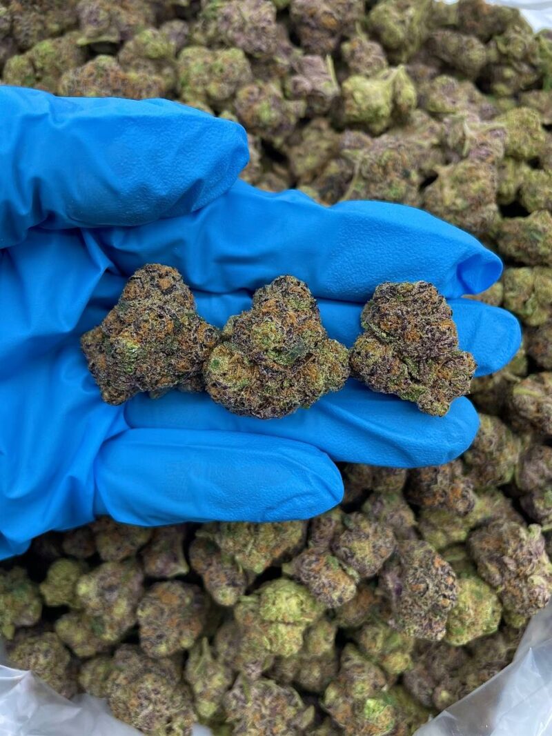 Arctic Diesel - Flower > Flower - Mids | Ganja Deals