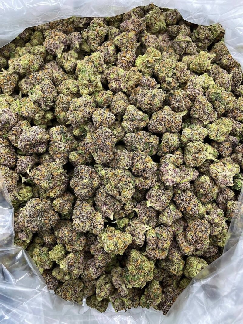 Buy Arctic Diesel Online at Ganja Deals
