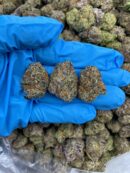 Blue Widow Frost - Flower > Flower - Mids | Ganja Deals