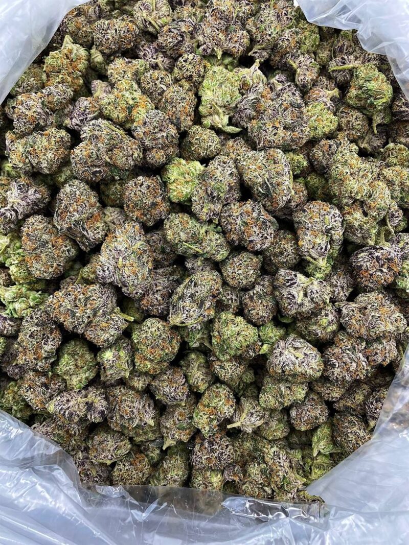 Buy Blue Widow Frost Online at Ganja Deals