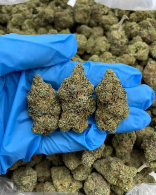 Purple Moonrocks - Flower > Flower - Mids | Ganja Deals