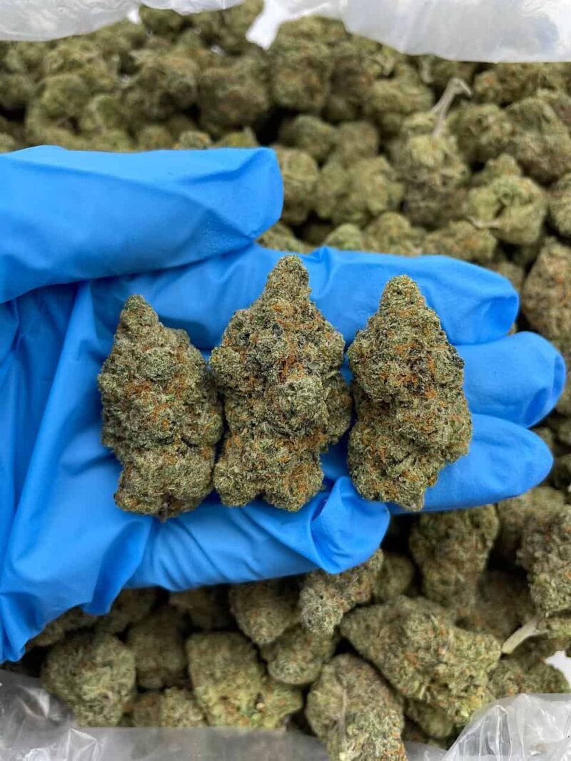 Purple Moonrocks - Flower > Flower - Mids | Ganja Deals
