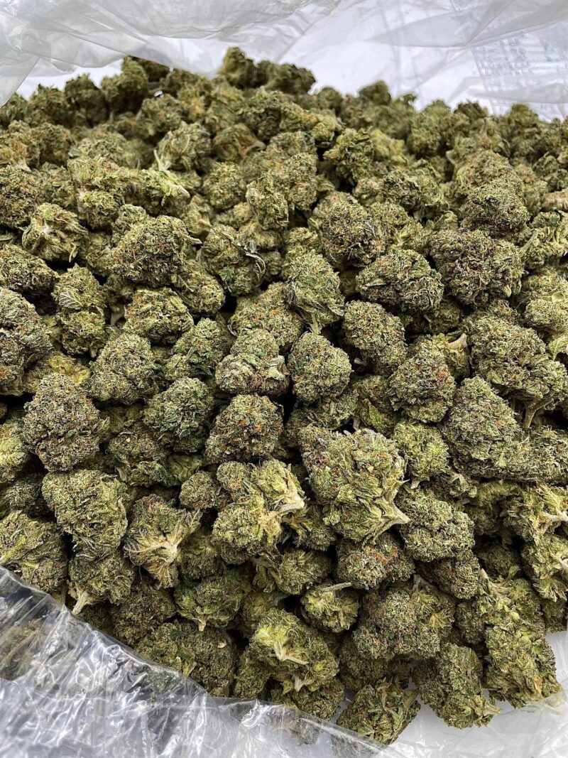 Buy Widowmaker Online at Ganja Deals
