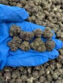 Taffy Jack - Flower > Flower - Mids | Ganja Deals