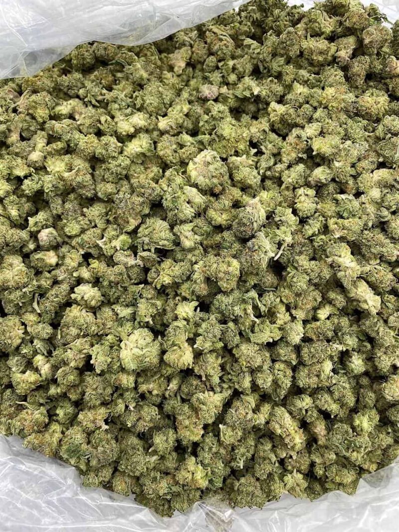 Buy Jungle Cake Online at Ganja Deals