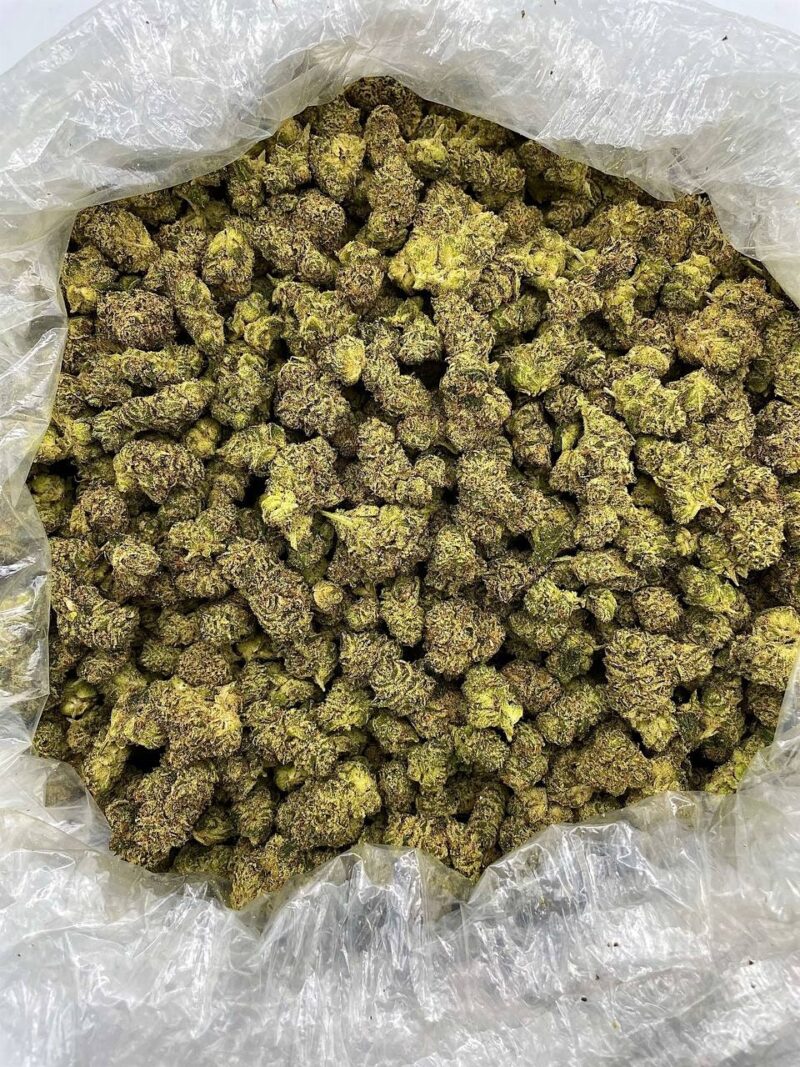 Buy Blackberry Haze Online at Ganja Deals