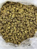 Buy Jungle Drip Online at Ganja Deals