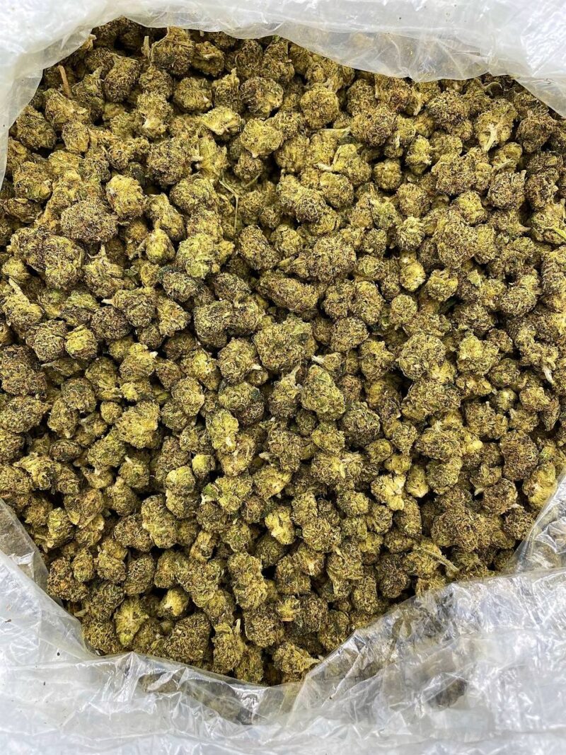 Buy Jungle Drip Online at Ganja Deals