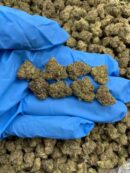 Neon Dream - Flower > Flower - Mids | Ganja Deals