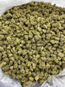 Buy Neon Dream Online at Ganja Deals