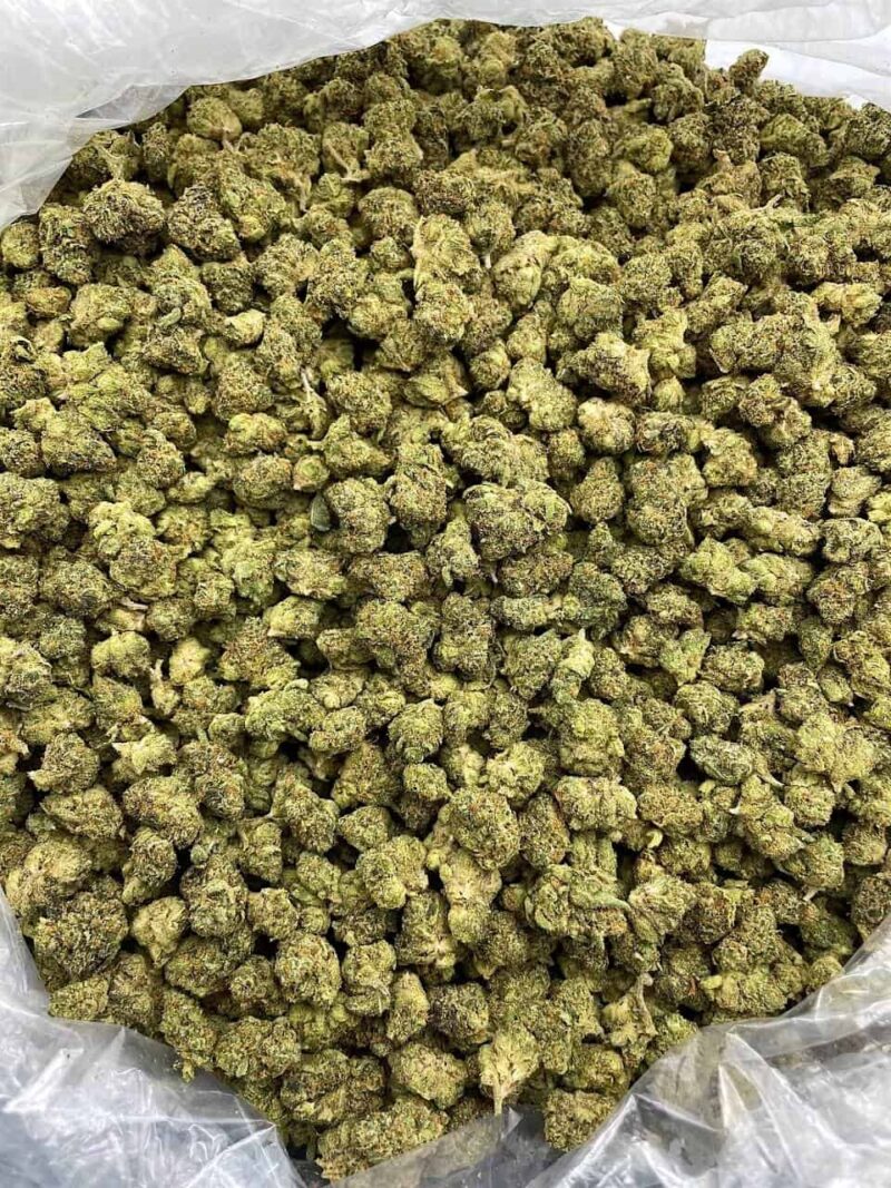 Buy Neon Dream Online at Ganja Deals