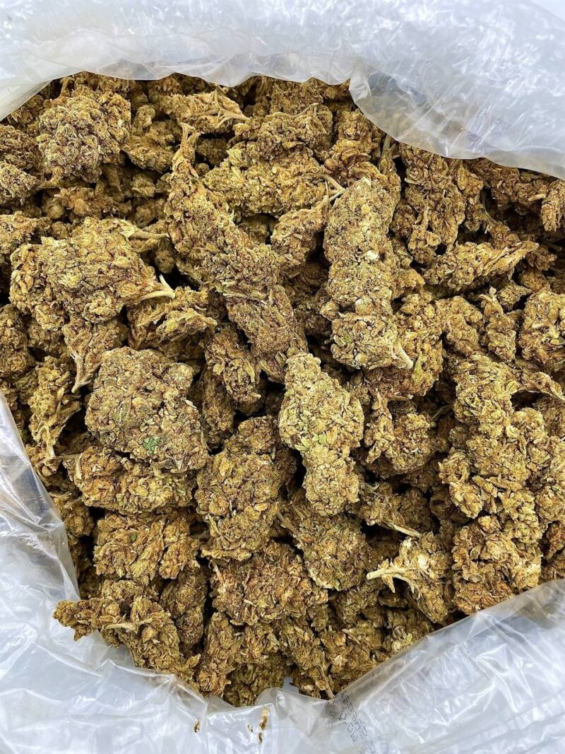 Buy Vanilla Frost Online at Ganja Deals