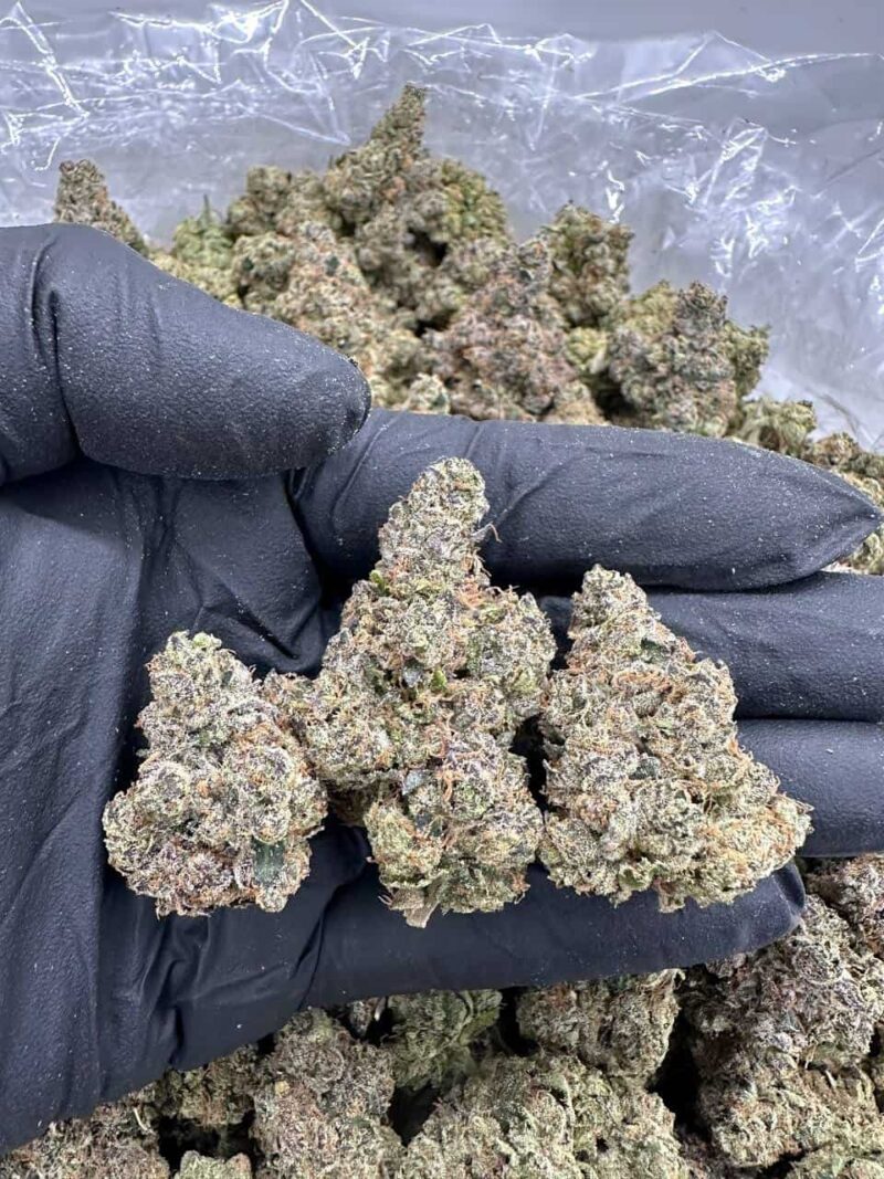 Mystery Mac #9 - Flower > Flower - Highs | Ganja Deals