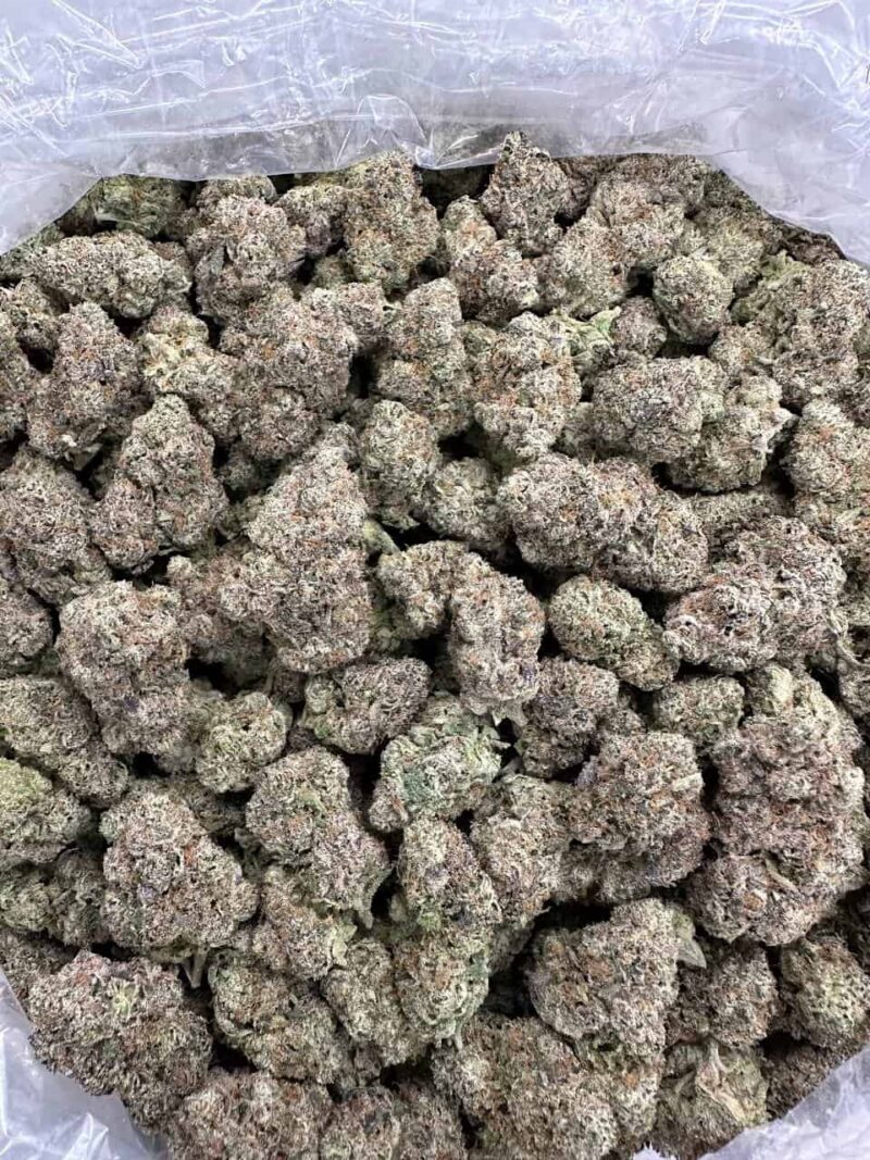 Buy Lemon Meringue Haze Online at Ganja Deals