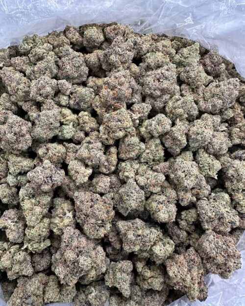 Buy Golden Truffle Online at Ganja Deals