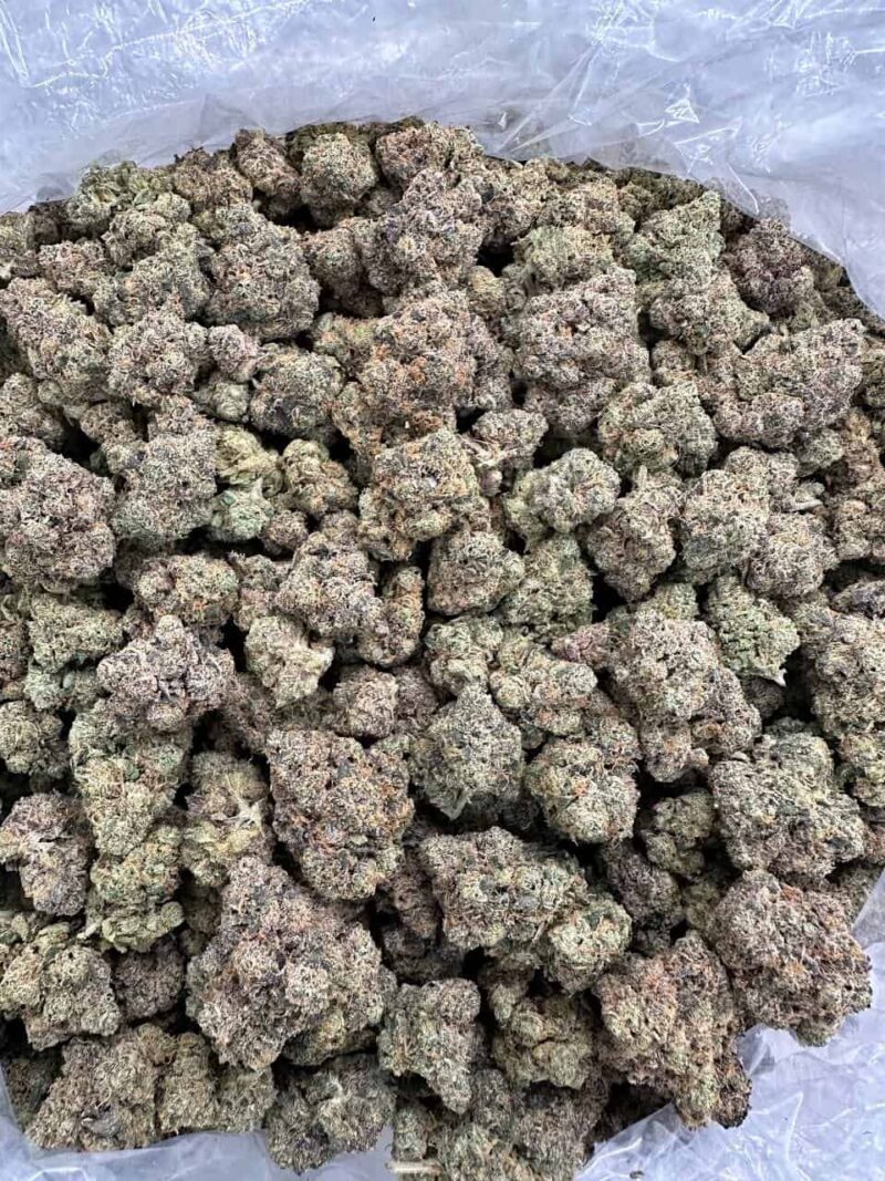 Buy Golden Truffle Online at Ganja Deals