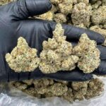 Emerald Haze
