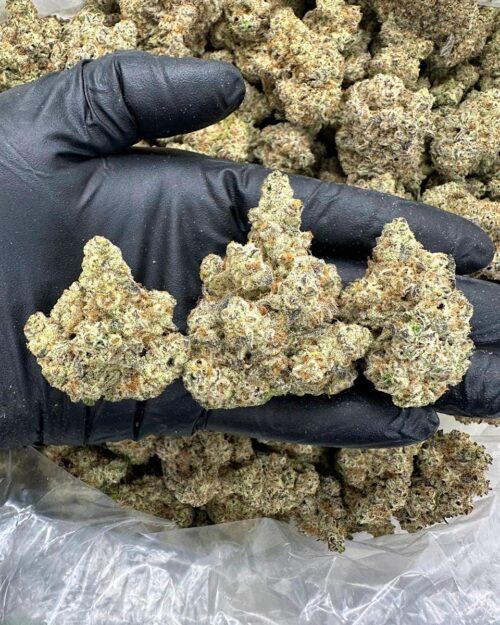 Emerald Haze - Flower > Indoor - Highs | Ganja Deals