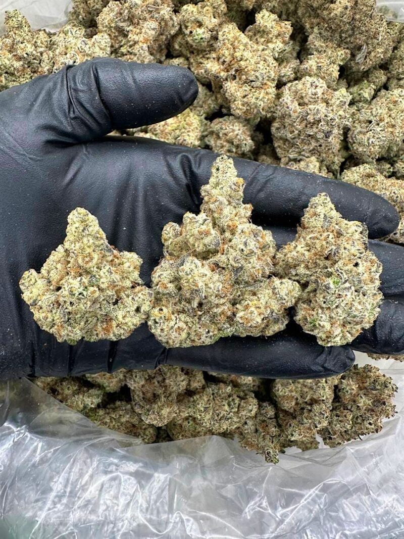 Emerald Haze - Flower > Indoor - Highs | Ganja Deals