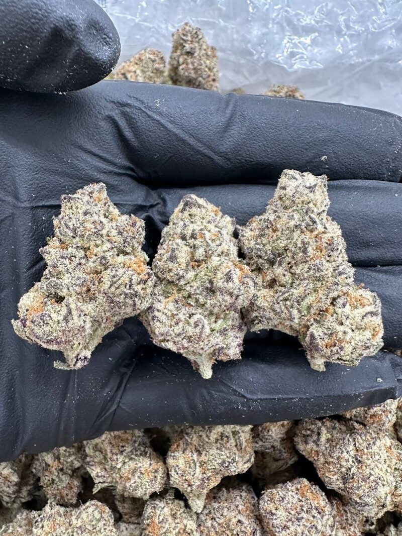 Tropical Gelato - Flower > Indoor - Highs | Ganja Deals