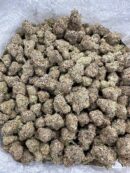 Buy Tropical Gelato Online at Ganja Deals