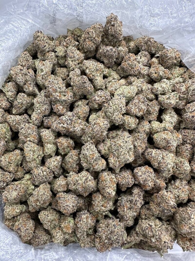 Buy Tropical Gelato Online at Ganja Deals