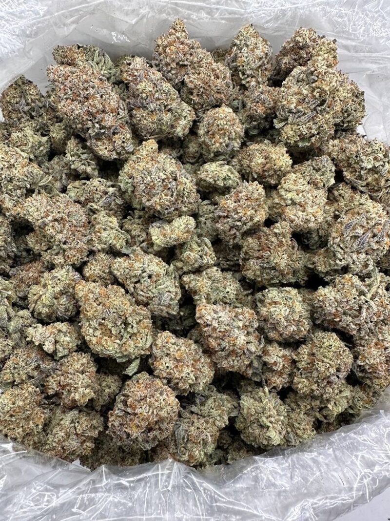 Buy Jungle Snow Online at Ganja Deals