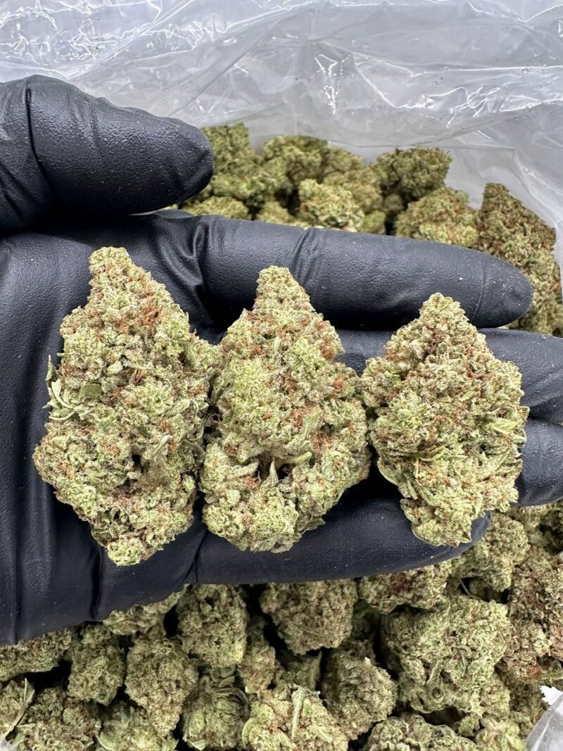Berry Zinger - Flower > Indoor - Mids | Ganja Deals