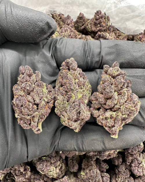 Apple Smack - Flower > Flower - Highs | Ganja Deals