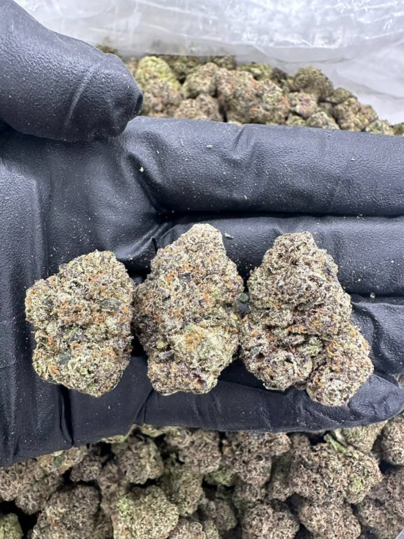 Taffy Gas - Flower > Flower - Highs | Ganja Deals