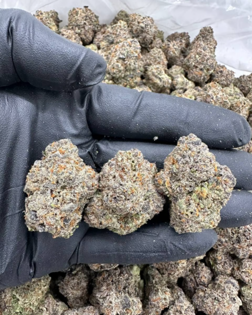 Sugar Crush - Flower > Flower - Highs | Ganja Deals