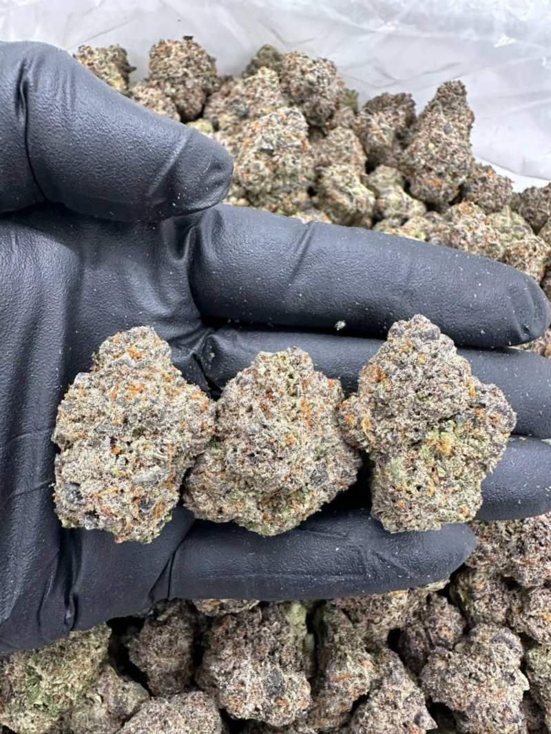 Sugar Crush - Flower > Flower - Highs | Ganja Deals