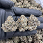 Frosted Sherbert