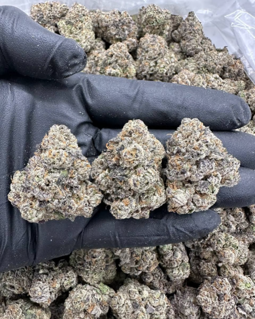 Frosted Sherbert - Flower > Flower - Highs | Ganja Deals