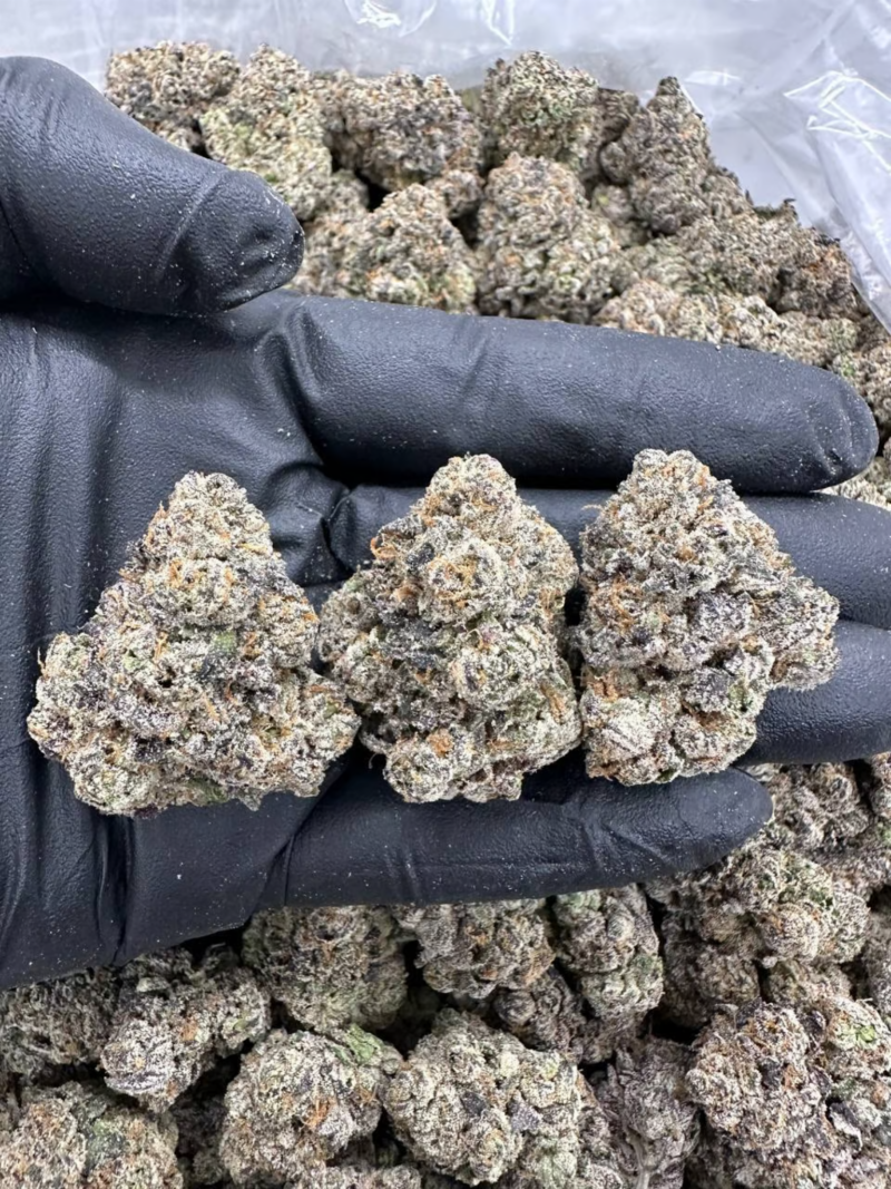 Frosted Sherbert - Flower > Flower - Highs | Ganja Deals