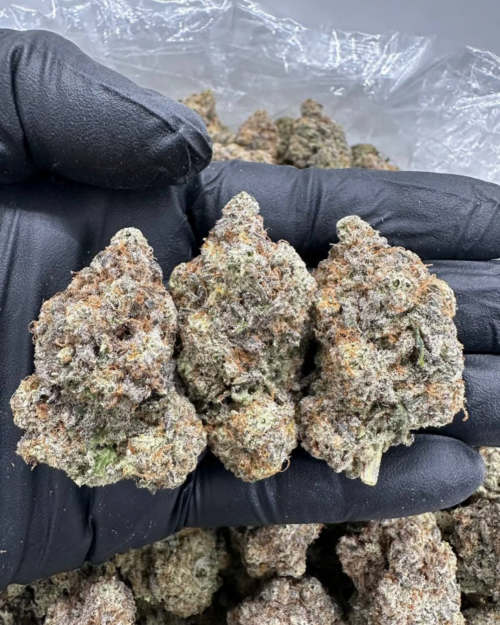 Zero Gravity - Flower > Flower - Highs | Ganja Deals